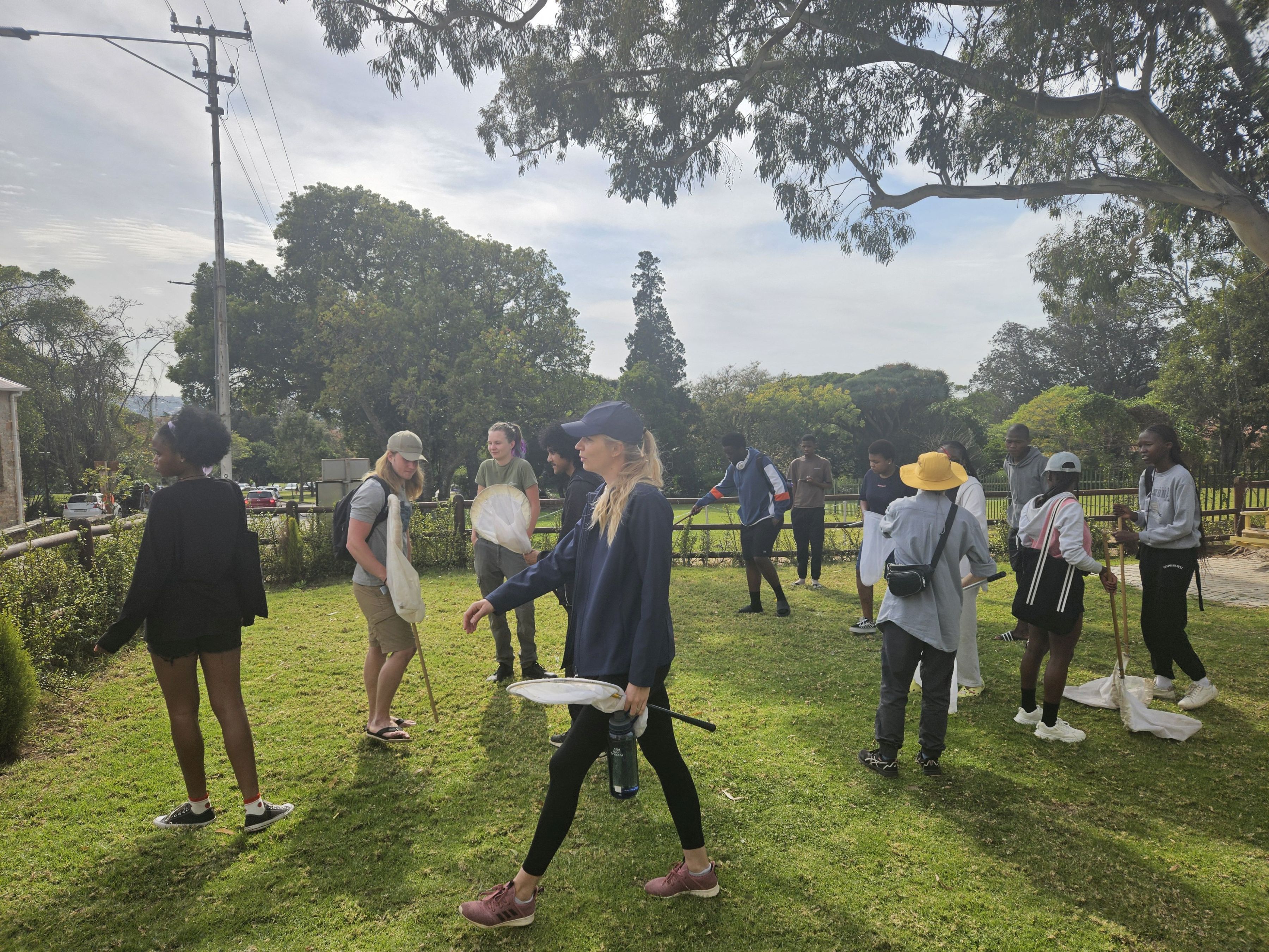 Terrestrial insects bioblitz