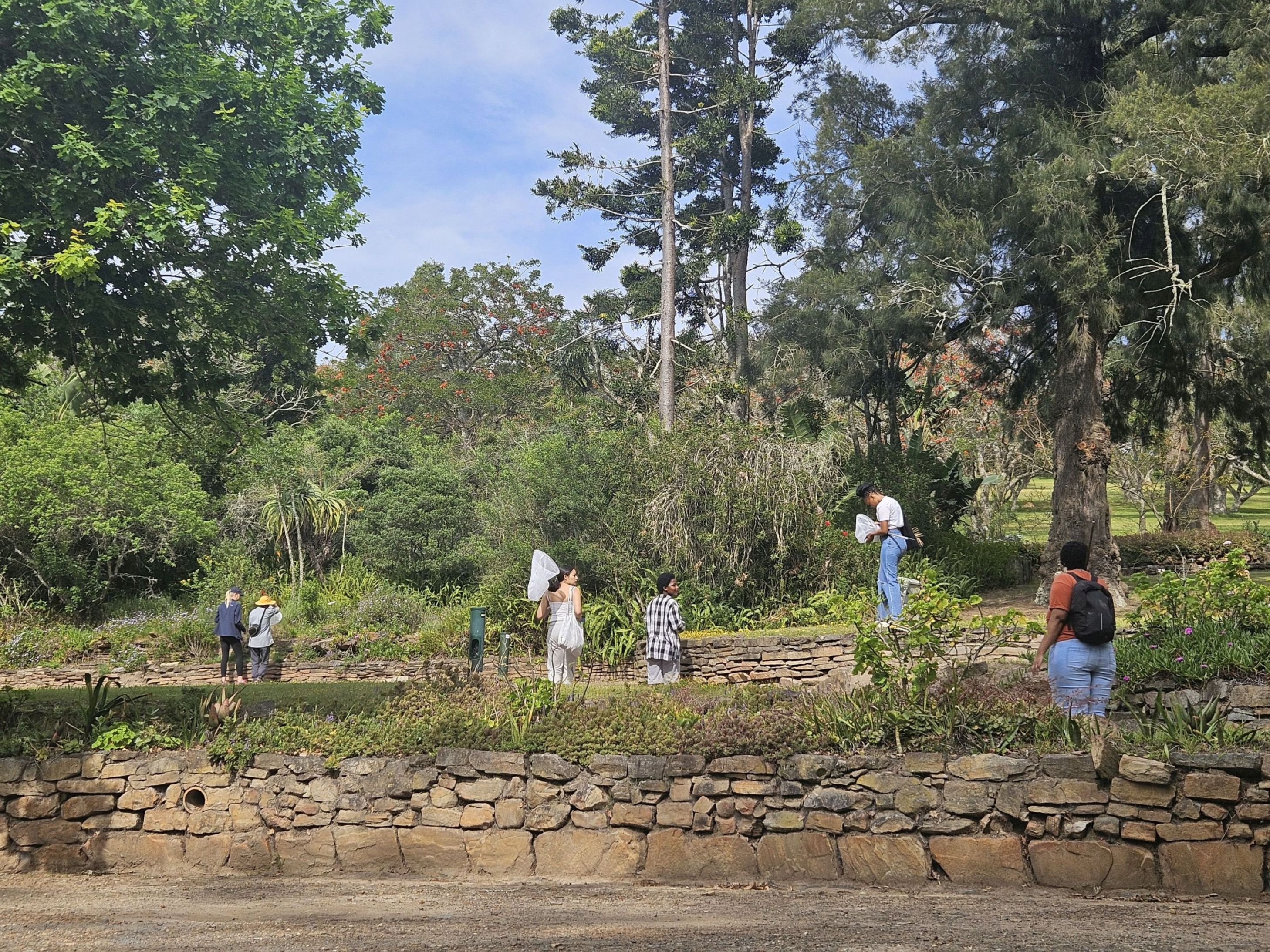 Insect Bioblitz