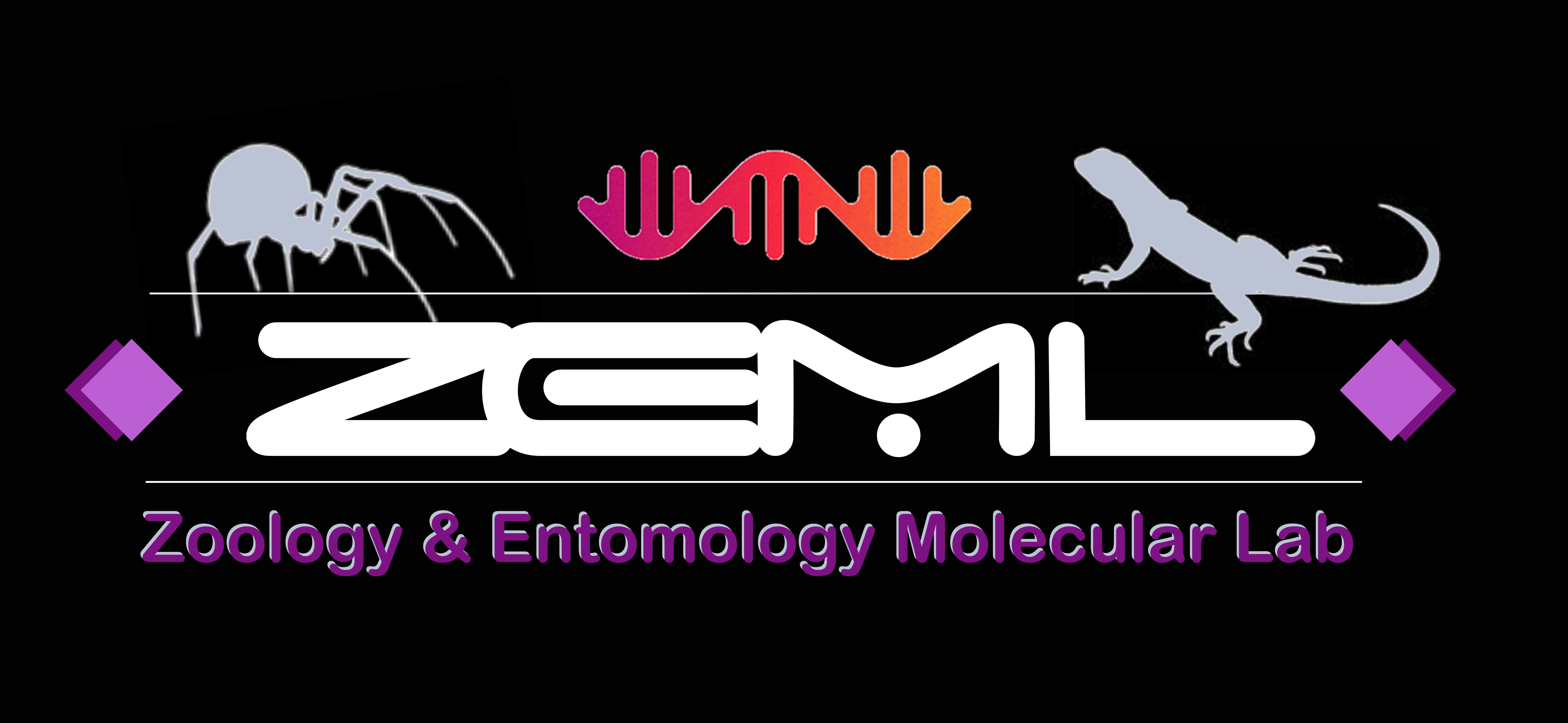 ZEML logo